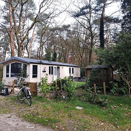 Ruim Chalet, Midden In Het Bos! Nunspeet Εξωτερικό φωτογραφία