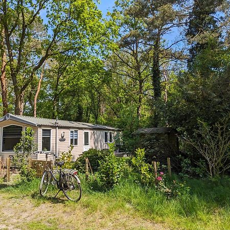 Ruim Chalet, Midden In Het Bos! Nunspeet Εξωτερικό φωτογραφία